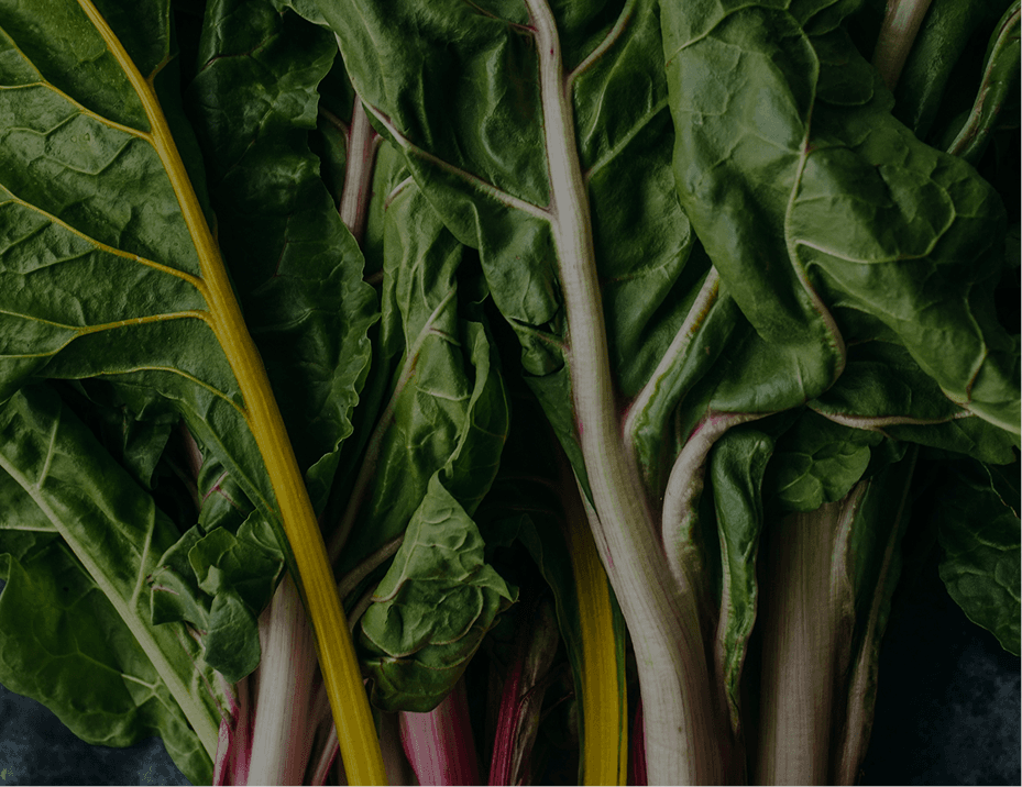 Let us show you around