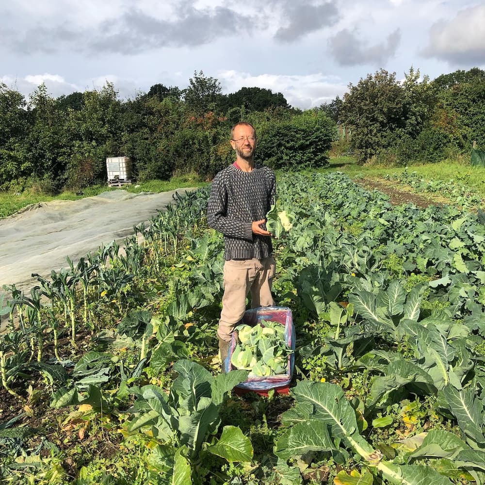 Sheffield Organic Growers